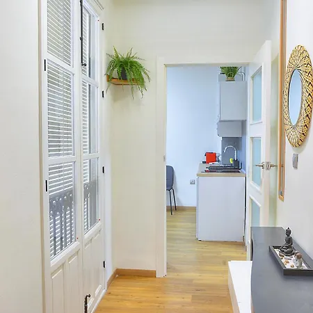 Apartament Family Luxury Argote *